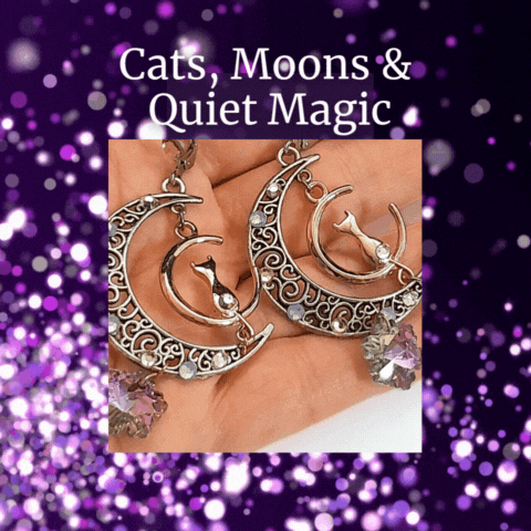 Cats, Moons & Quiet Magic