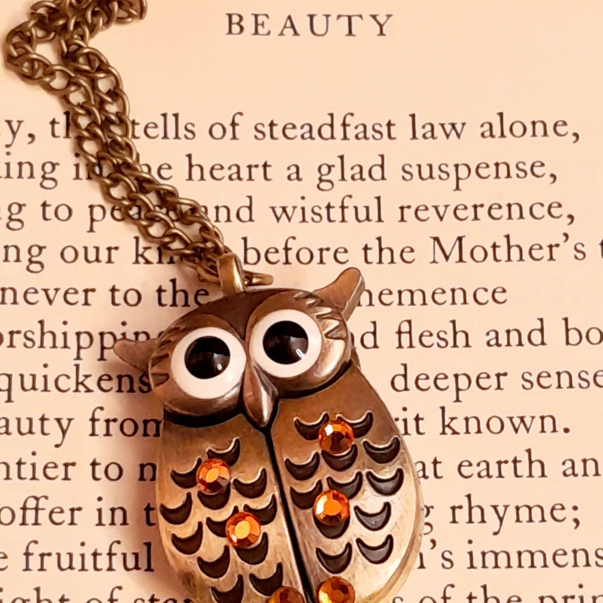 Owl Watch Fairy Necklace