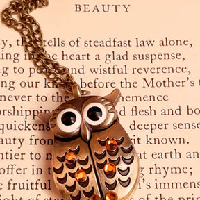 Owl Watch Fairy Necklace
